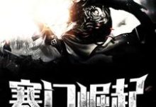 顾青苏小小为主角的小说叫什么？免费看寒门崛起-贝壳文学