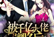 被千亿大佬壁咚后，我以牙还牙小说的无弹窗阅读体验，寻找免费阅读网站-贝壳文学