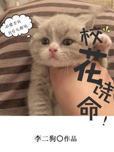 小说《校花饶命》在线章节阅读