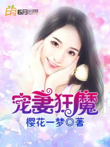 宠妻狂魔小说全文哪里可以免费看？