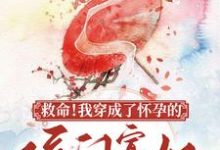 求救命！我穿成了怀孕的侯门寡妇小说免费资源-贝壳文学