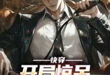 在线寻找李言的小说，快穿：开局惊呆创作大赛观众免费阅读-贝壳文学