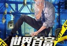 《世界首富是我爹》小说大结局免费试读 顾风徐娇杨美妮小说-贝壳文学