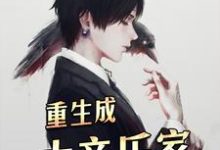 寻找能够免费阅读重生成大音乐家小说的平台-贝壳文学