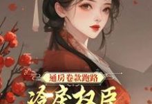 通房卷款跑路,冷戾权臣悔婚拿人这本小说怎么样?免费在线阅读试试-贝壳文学