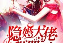 求推荐可以免费阅读隐婚大佬甜哭了小说的网站-贝壳文学