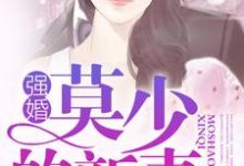 小说《强婚：莫少的新妻》章节免费阅读-贝壳文学