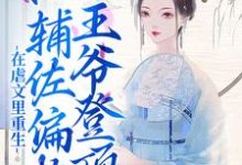 宋清荷纳兰琰为主角的小说叫什么？免费看在虐文里重生，她辅佐偏执王爷登顶-贝壳文学