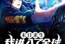 末日求生:我进入了全球断电时代小说的免费电子版在哪里可以下载或阅读?-贝壳文学