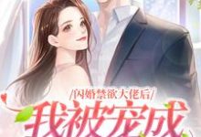 《闪婚禁欲大佬后，我被宠成高岭之花》小说大结局免费试读 历承泽苏嘉言小说-贝壳文学