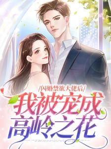 《闪婚禁欲大佬后，我被宠成高岭之花》小说大结局免费试读 历承泽苏嘉言小说