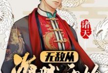 主人公叫王恒索隆的小说诸天:无敌从海贼开始在线阅读章节-贝壳文学