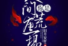 你是人间荒唐一场陆清野穆镜迟在线章节免费阅读-贝壳文学