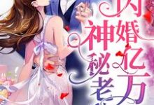 已完结小说《闪婚亿万神秘老公》章节在线阅读-贝壳文学