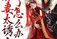 带球跑：弃妻太诱人了怎么办免费阅读，带球跑：弃妻太诱人了怎么办章节目录-贝壳文学