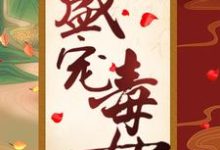 免费阅读 风重华韩辰为主角的小说,盛宠毒女在线看-贝壳文学