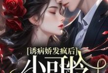 诱病娇发疯后，小可怜插翅难飞苏沐傅泽谦，诱病娇发疯后，小可怜插翅难飞章节在线阅读-贝壳文学