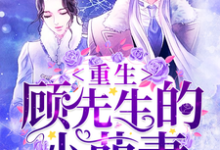 重生,顾先生的小萌妻(苏卿卿顾墨城)在线免费阅读-贝壳文学