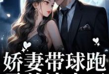 姜南韵厉司宴小说《娇妻带球跑，霸总请走开》在线阅读-贝壳文学