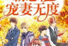 已完结小说《一见钟情:霸总他宠妻无度》最新章节-贝壳文学