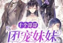 《十个哥哥:团宠妹妹又甜又野》小说大结局免费试读 顾九笙盛澜小说-贝壳文学
