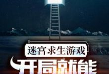 周晨叶诗诗的完整故事在哪里？读迷宫求生游戏：开局就能看到提示小说-贝壳文学
