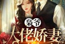 已完结小说《枭爷，大佬娇妻A爆了》章节免费阅读-贝壳文学