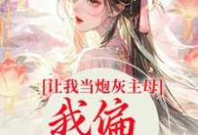 让我当炮灰主母，我偏另谋出路（司微月盛黎昕）在线免费阅读-贝壳文学