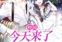 在线寻找校园：今天来了一个转校生小说的无删减版本-贝壳文学