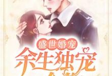盛世婚宠：余生独宠一个你免费阅读，盛世婚宠：余生独宠一个你章节目录-贝壳文学