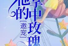想读宁岁陆昀晏的故事,哪里可以免费找到邀宠:他的掌中玫瑰?-贝壳文学