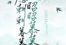 愿朝朝暮暮,昭昭慕慕林昭昭安戎冉小说免费阅读-贝壳文学