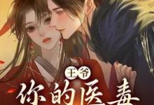 已完结小说《王爷，你的医毒王妃嫁到》在线章节阅读-贝壳文学
