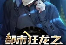 小说《都市狂龙之执观神》章节免费阅读-贝壳文学