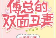 三宝联盟：傅总的双面丑妻小说的无弹窗阅读体验，寻找免费阅读网站-贝壳文学