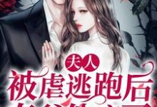 求夫人被虐逃跑后，秦爷他疯了小说的全文免费阅读链接-贝壳文学