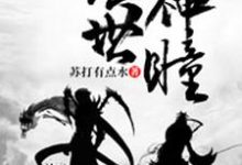 小说《绝世神瞳》在线章节阅读-贝壳文学