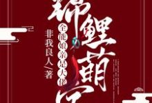 锦鲤萌宝：全能娘亲是大佬小说全文阅读需要付费吗？寻找免费资源-贝壳文学