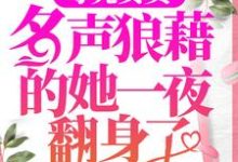 想读沈南音容祈的故事，哪里可以免费找到母凭女贵，名声狼藉的她一夜翻身了？-贝壳文学