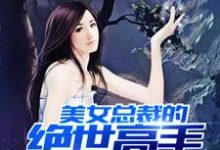 《美女总裁的绝世高手》全集免费在线阅读（叶轩苏晴）-贝壳文学