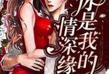 林绾绾薄璟琛为主角的小说叫什么？免费看你是我的情深缘浅-贝壳文学