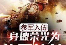 参军入伍：身披荣光为华夏护航！小说的免费阅读版本在哪里可以找到？-贝壳文学