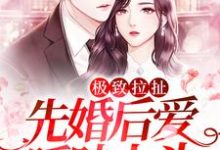 温旎简予琛的故事在哪本书里?免费阅读极致拉扯:先婚后爱暧昧上头-贝壳文学
