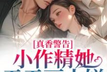 男女主人公苏酥小说真香警告!小作精她天天画大饼章节免费阅读-贝壳文学