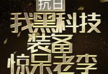 抗日:我黑科技装备惊呆老李最新章节,抗日:我黑科技装备惊呆老李免费阅读-贝壳文学