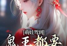 苏萌萌苏宁的故事在哪本书里？免费阅读萌娃驾到，鬼王都要退避三舍-贝壳文学
