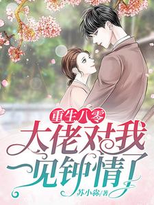 《重生八零，大佬对我一见钟情了》小说章节列表免费试读，苏小雅廖云飞小说在线阅读