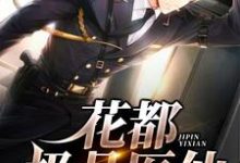 花都极品医仙（叶欢苏婉儿）在线免费阅读-贝壳文学