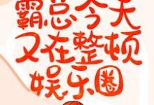 灵魂互换：霸总今天又在整顿娱乐圈小说免费资源，灵魂互换：霸总今天又在整顿娱乐圈在线阅读-贝壳文学