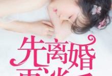 先离婚，再谈爱小说有没有完结版在线？-贝壳文学